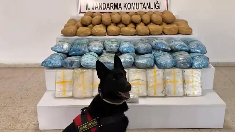 63 İlde Uyuşturucu Operasyonu: 1,3 Ton Madde Ele Geçirildi
