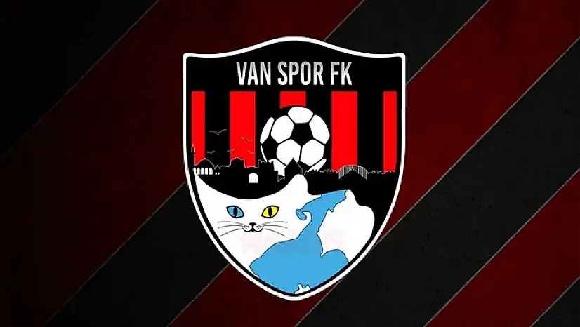 Artı Değer Van Spor, 1. Lig'de