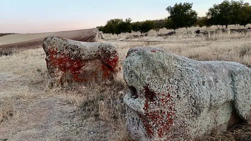 Bozkurt'tan Aslantaş Kararına Tepki