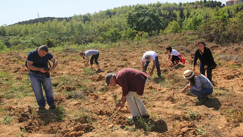 ÇEKÜL'den Doğaya Büyük Katkı: 2025'te 116 Bin Fidan Toprakla Buluştu