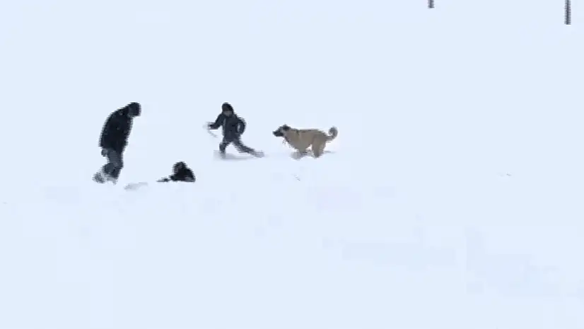 Çocuklar ve Sevimli Misafirden Kar Eğlencesi