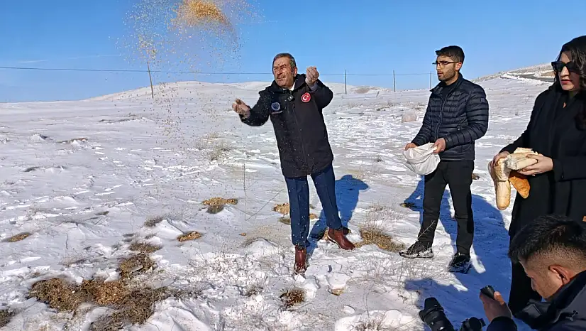 Darende'de Yaban Hayvanları İçin Kış Seferberliği