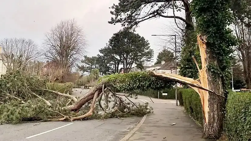 Doğu ve Güneydoğu'da Rüzgâr Şiddetlenecek: Hız Saate 60 Km'ye Çıkabilir