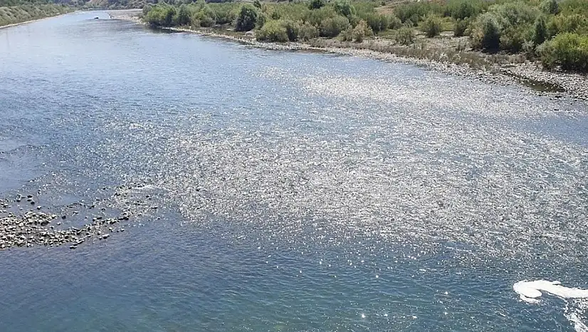 Elazığ'da nehre giren adam kayboldu