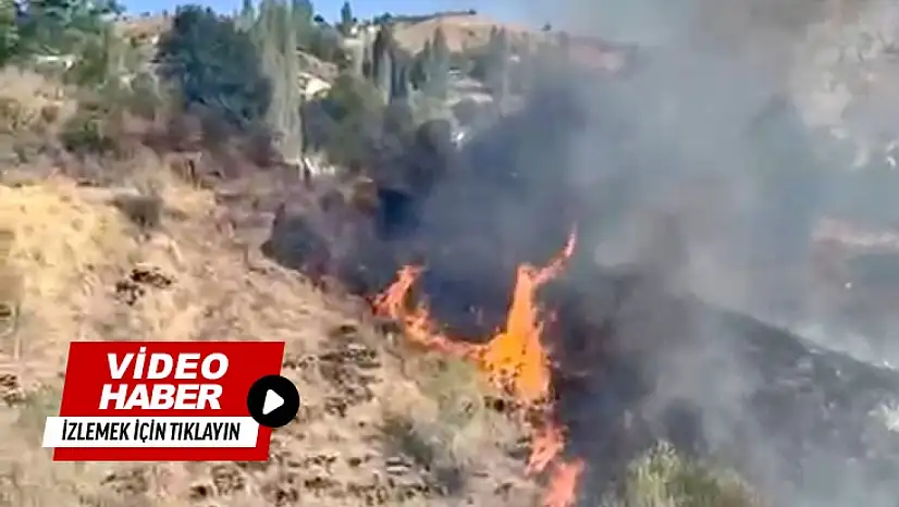 Evlere Yakın Noktadaki Yangın Büyümeden Söndürüldü