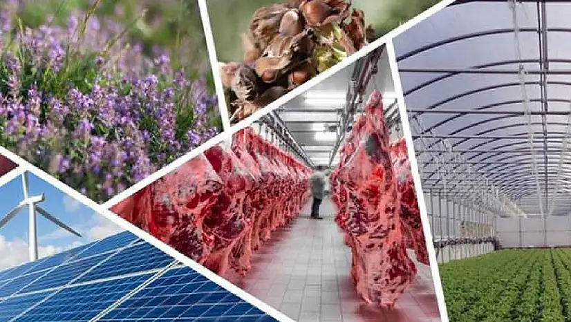 Kırsal Kalkınmada Yeni Dönem: Hibe Oranları %70'e Çıktı