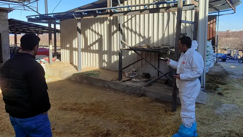 Malatya'da Hayvancılık İşletmelerinde TÜRKVET Kayıt ve Kapasite Tespiti Sürüyor