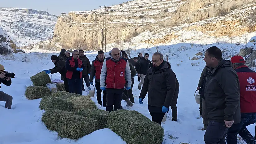 Malatya'da Yaban Hayvanlarına yem Desteği