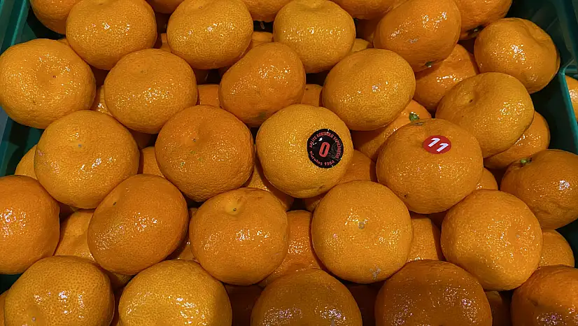 Mandalina ihracatı 615 milyon dolarla rekor kırdı