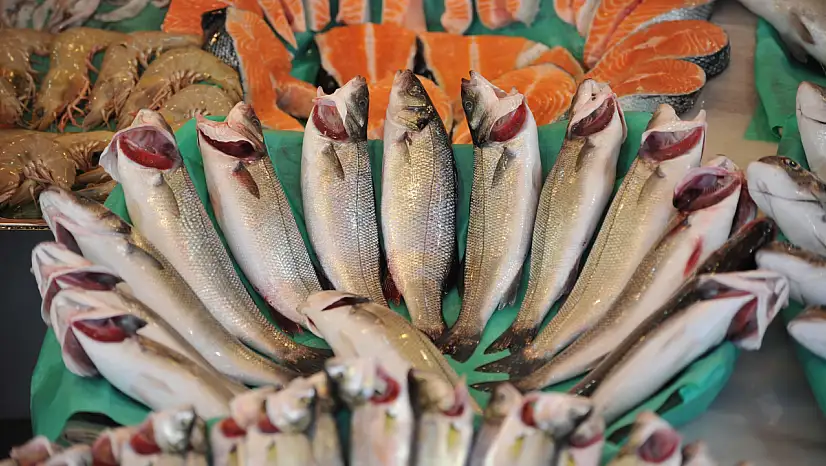 Su ürünleri ve hayvansal mamuller ihracatı 4 milyar doları aştı