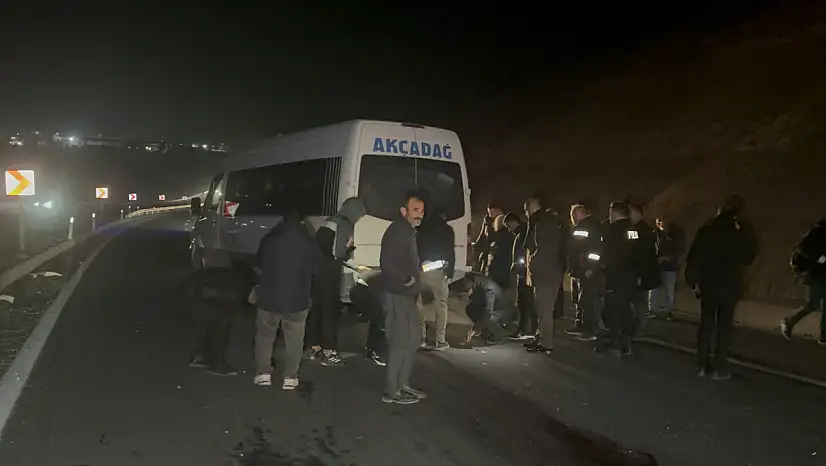 Sultan Suyu'ndan Kaçan Taylar Karayoluna Çıktı: 8 Tay Telef Oldu