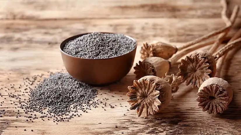 TMO'dan Mavi Haşhaş Tohumu Satışı