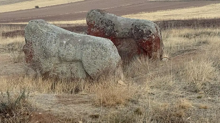 Aslantaşlar Yerinde Kalıyor