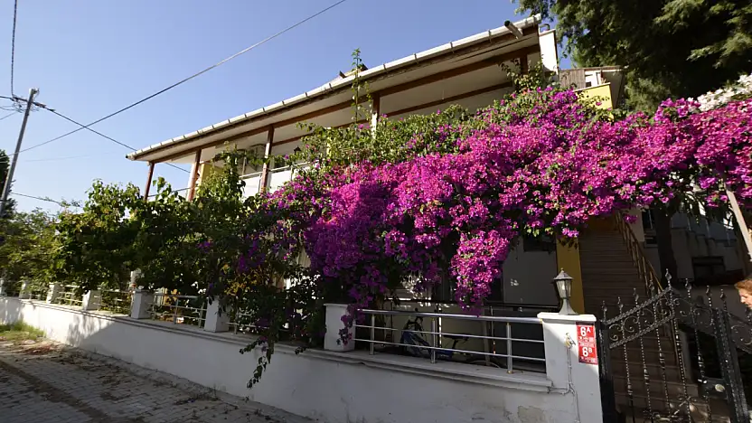 Avşa Adası Günlük Kiralık Evler: Tatilinizi Kendi Kurallarınızla Yaşayın!