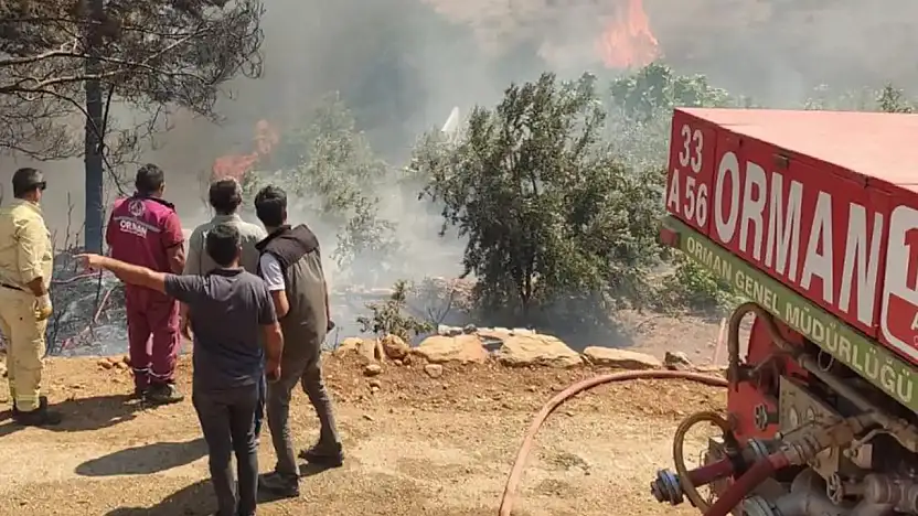 Bakan Yumaklı: 4 ildeki 5 orman yangını kontrol altına alındı