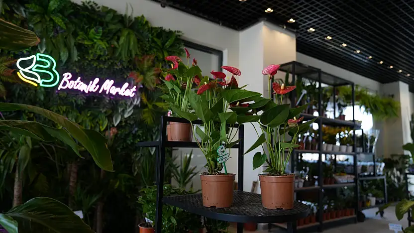 Battalgazi'de Yeşil Alan Atağı Sürüyor