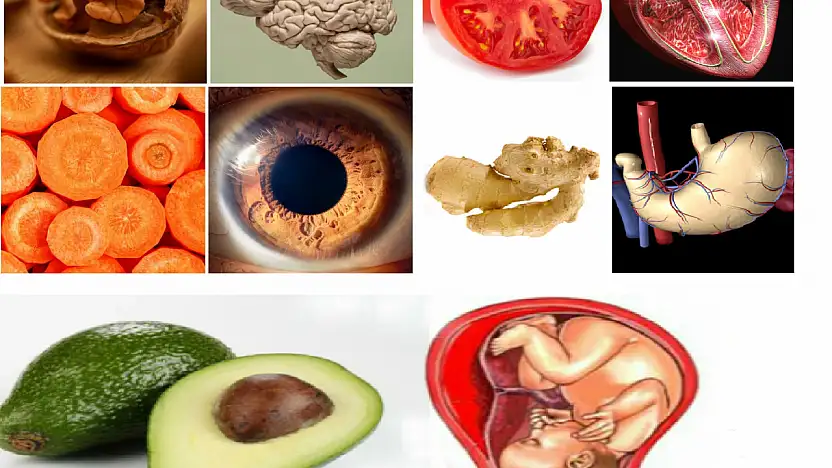 Benzediği Organa Şifa Olan Besinler: Sofranızdaki Gizli Bağlantı