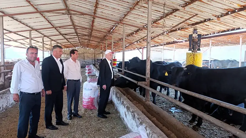 Bu yıl görülen şap virüsü daha ölümcül ve tehlikeli boyutta seyrediyor