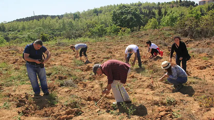ÇEKÜL'den Doğaya Büyük Katkı: 2025'te 116 Bin Fidan Toprakla Buluştu