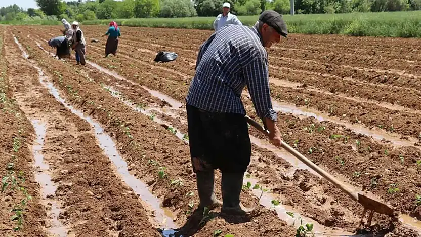 Çiftçilere destekleme ödemeleri başladı