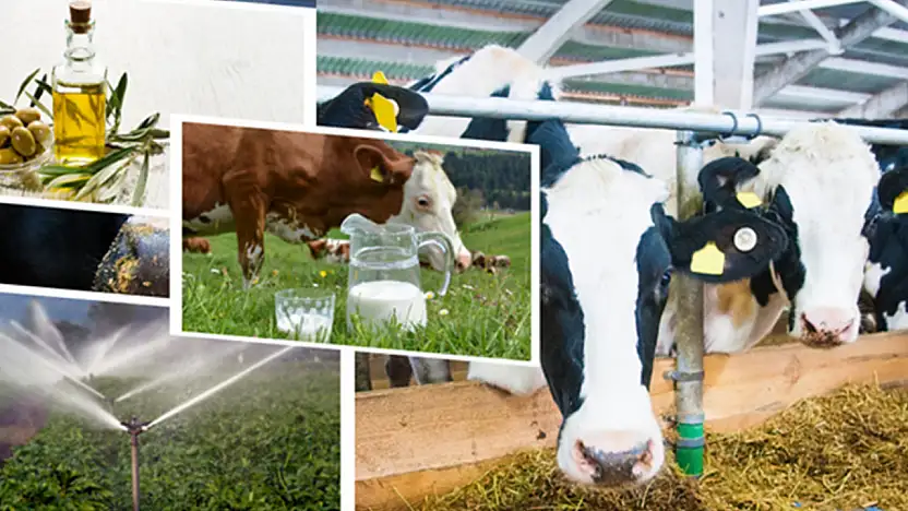 Çiftçilere tarımsal destekleme ödemesi yapılacak