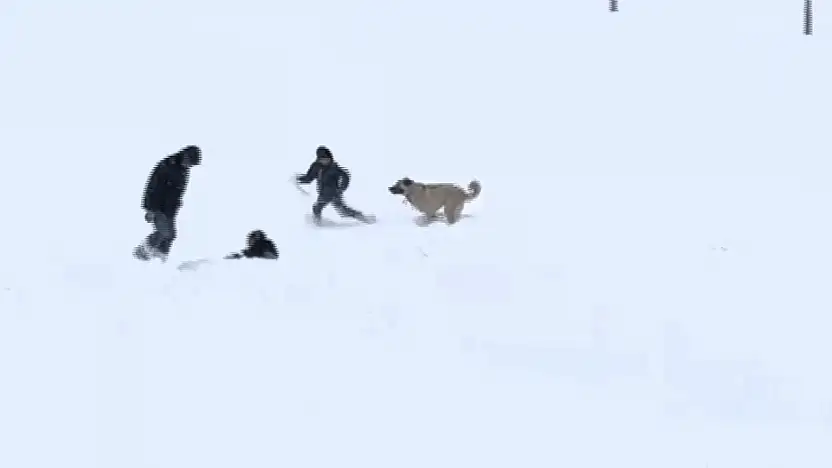 Çocuklar ve Sevimli Misafirden Kar Eğlencesi