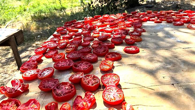 Darende'de Kış Hazırlıkları Başladı: Domates ve Biberler İşleniyor