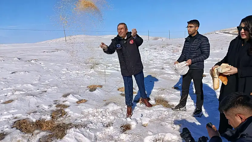 Darende'de Yaban Hayvanları İçin Kış Seferberliği
