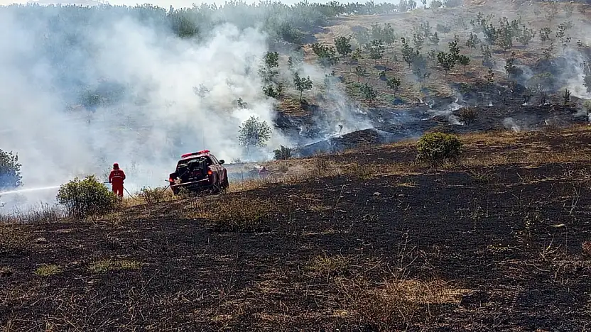 Doğanyol'da orman yangını