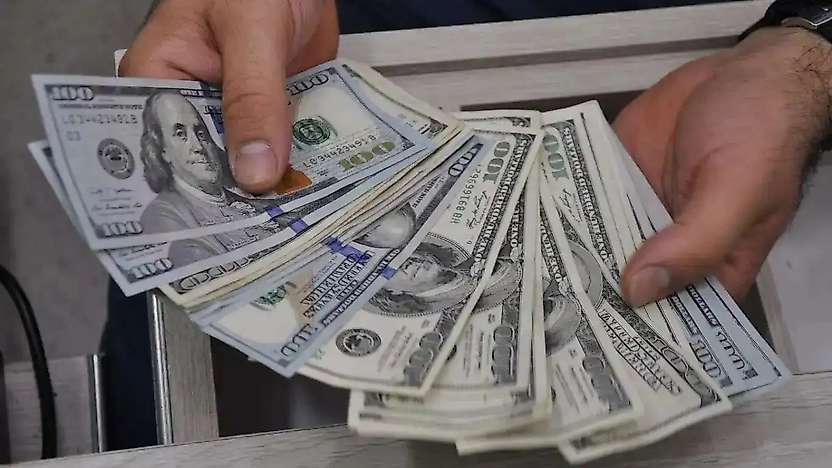 Dolar Endeksi 102 Seviyesini Aştı: Dolar/TL 49,13
