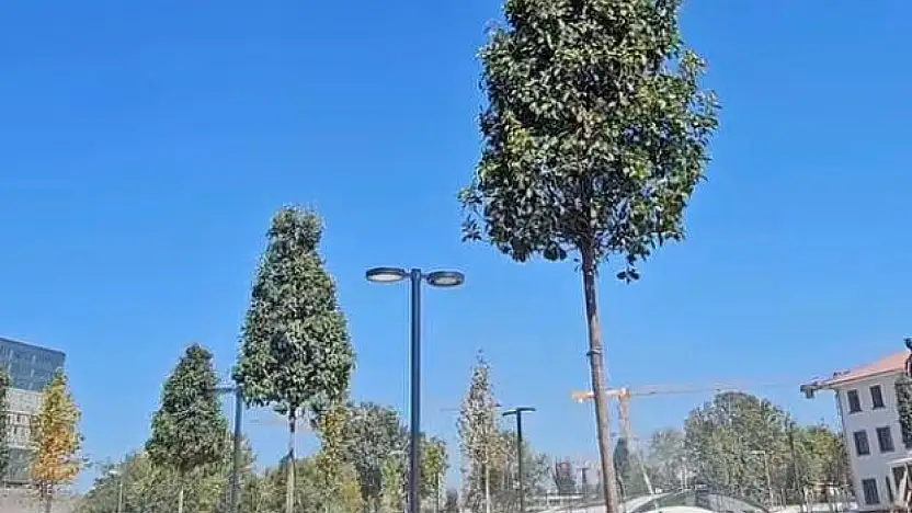 Erdoğan'ın 6 Eylül Malatya ziyareti için hazırlıklar sürüyor
