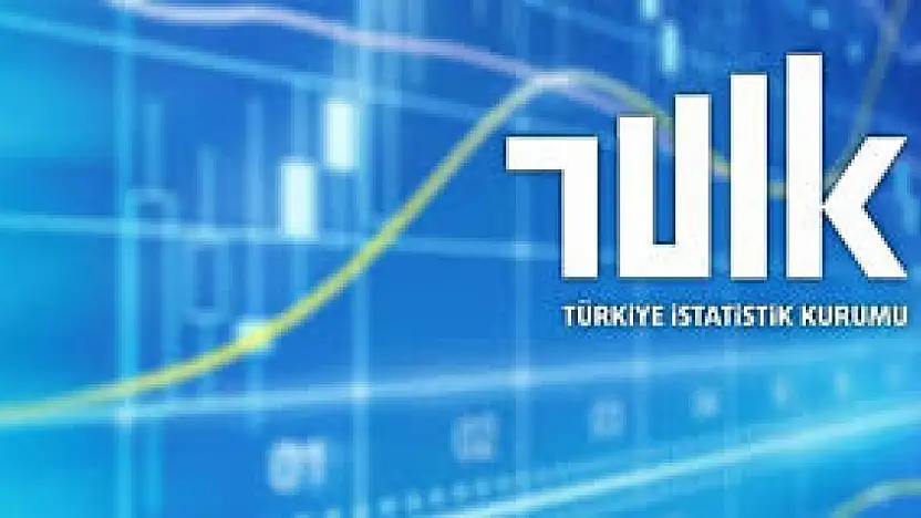 Hanehalkı ve Kar Amacı Olmayan Kuruluşlar Ekonomiye Katkıda İkinci Sırada