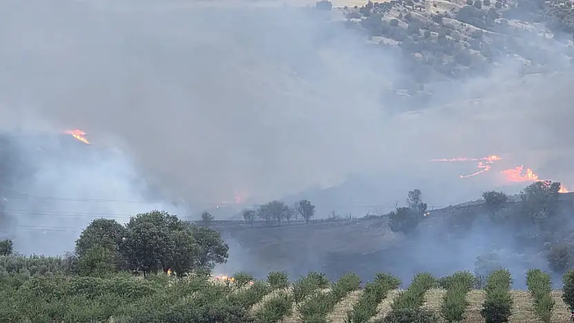 Kahta'da tarlada korkutan yangın