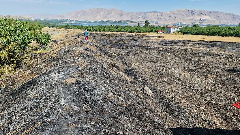 Kale'de Otluk Alan Yangını: 8 Dekar Alan Zarar Gördü