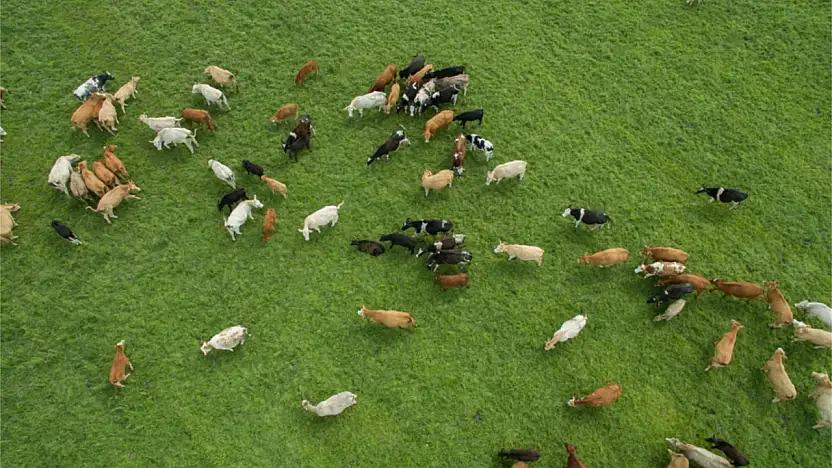 Kapasitesini Güncellemeyen Başvuramayacak