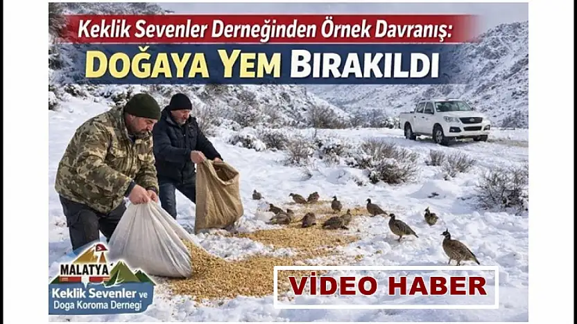 Keklik Sevenler Derneğinden Örnek Davranış: Doğaya Yem Bırakıldı