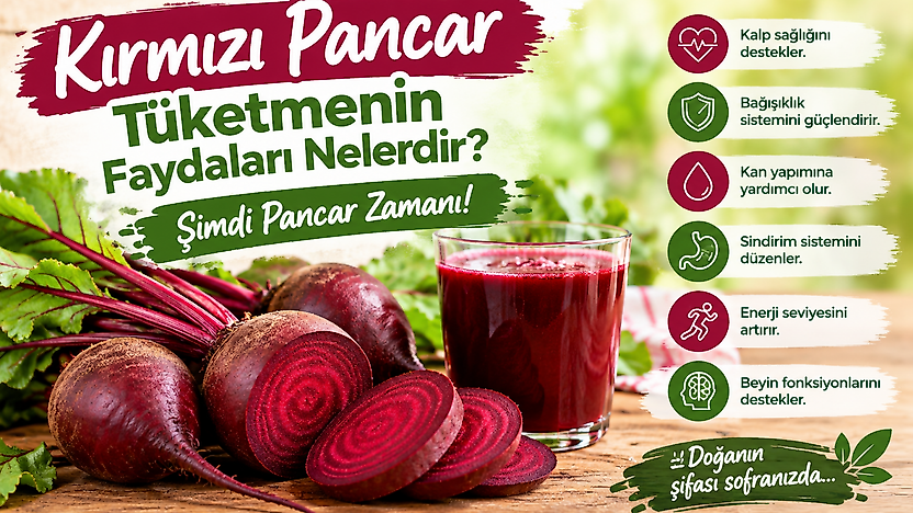 Kırmızı Pancar Tüketmenin Faydaları Nelerdir? Şimdi Pancar Zamanı!