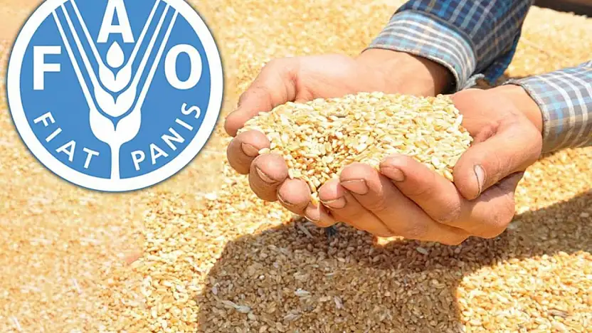 Küresel gıda fiyatları son 2 yılın en yüksek seviyesinde