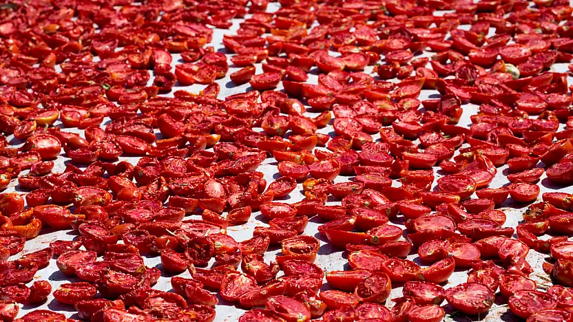 Kuru domates ihracatı 100 milyon doları aştı