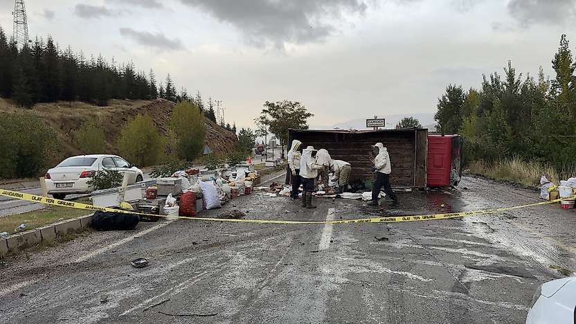Malatya'da Arı Yüklü Kamyon Devrildi: 3 Yaralı