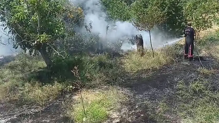 Malatya'da bahçe yangını paniğe neden oldu