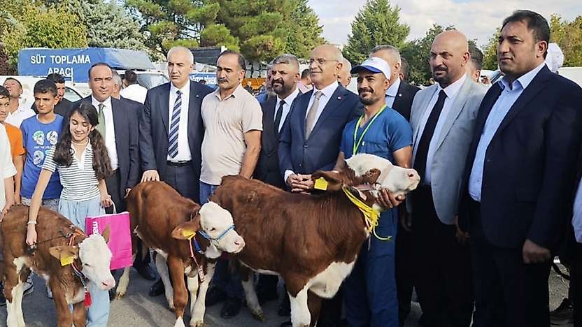 Malatya'da 'En Güzel Buzağı' yarışması düzenlendi