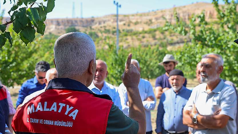 Malatya'da Kayısı Üreticilerine 'Tarla Okulu' Eğitimi