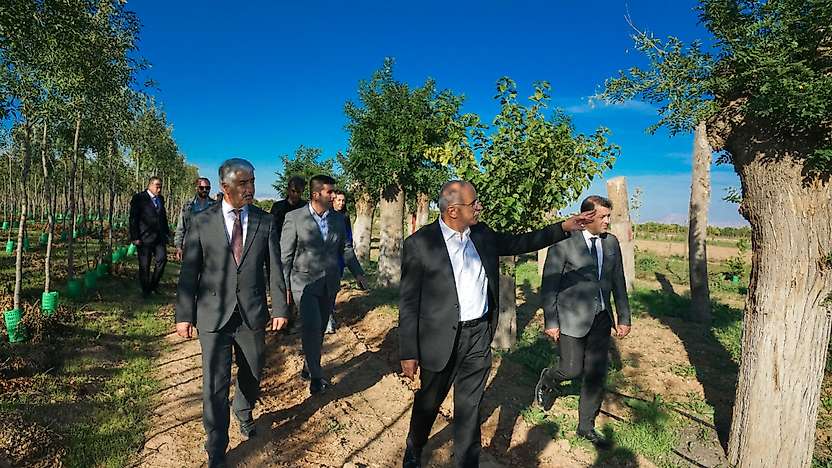 Malatya'da Yılda 20 Bin Fidan ve 50 Bin Metrekare Rulo Çim Üretiliyor