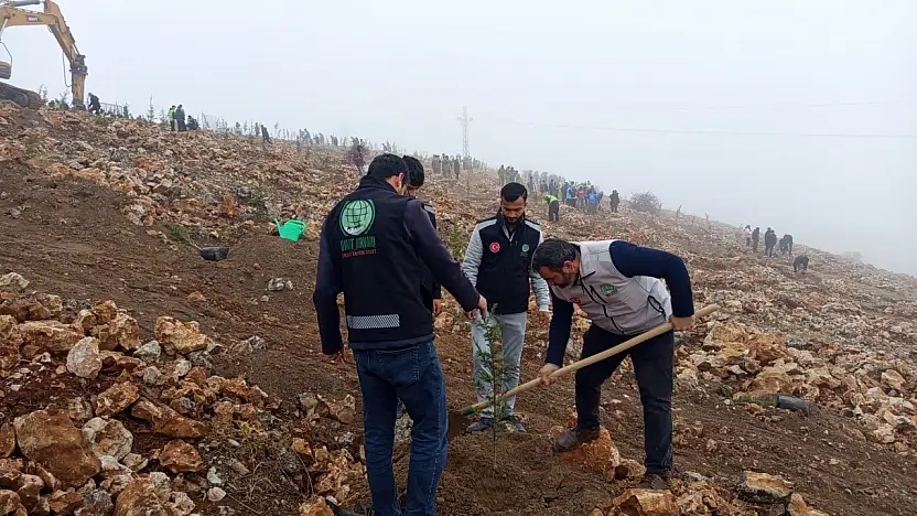 Malatya Umut Kervanı Derneği'nden Karagöz TOKİ Arkası Beydağı'nda Çam Fidanı Dikimi