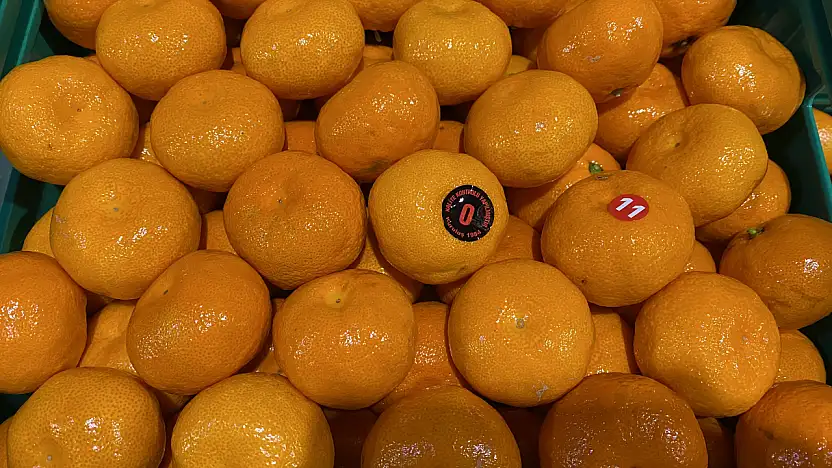 Mandalina ihracatı 615 milyon dolarla rekor kırdı