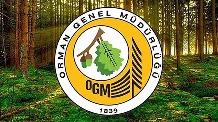 OGM 262 Daimi İşçi Alacak: Engelli ve Eski Hükümlülere Fırsat
