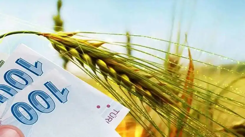 Tarım Destekleri Ödeniyor: 1 Milyar 623 Milyon TL Çiftçilere Aktarılacak