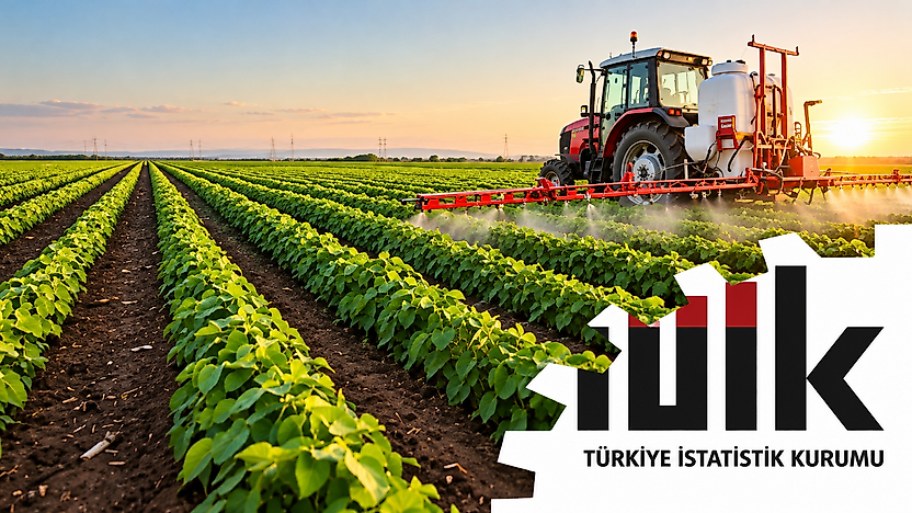 Tarım-ÜFE Eylül Ayında Düştü: Sebze Fiyatlarında Yıllık Artış Yüzde 61'i Aştı