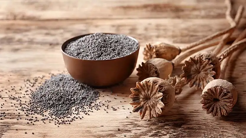 TMO'dan Mavi Haşhaş Tohumu Satışı